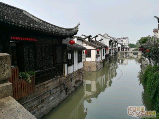 明日之后